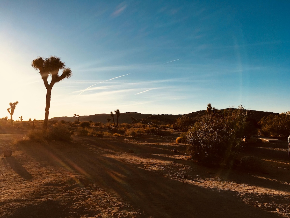 6. deň - JOSHUA TREE NP, LOS ANGELES 