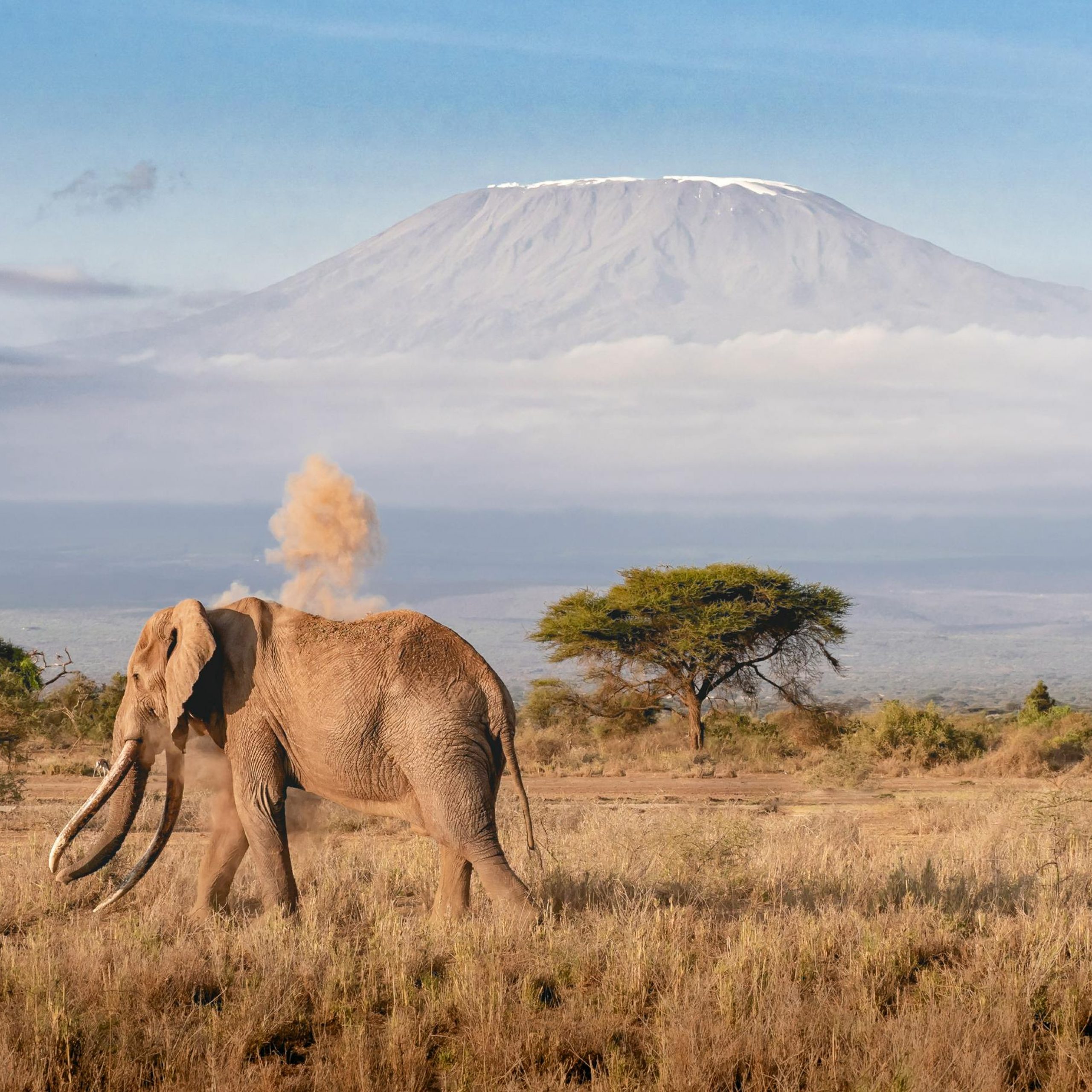 6.deň CESTA POD KILIMANDŽÁRO – NÁRODNÝ PARK AMBOSELI